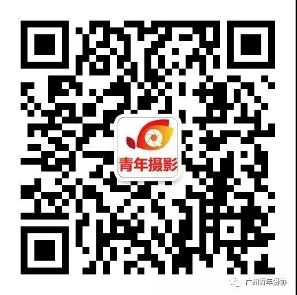 报手机摄影专业班送500元市级会员研修班