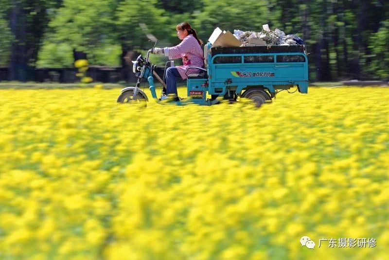第三届（2020）曼比利杯全国慢速专题摄影万元大赛拟获奖作品公示