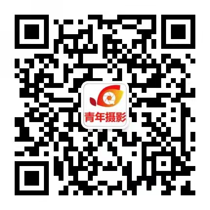 视频拍摄与罕有题材课程招生