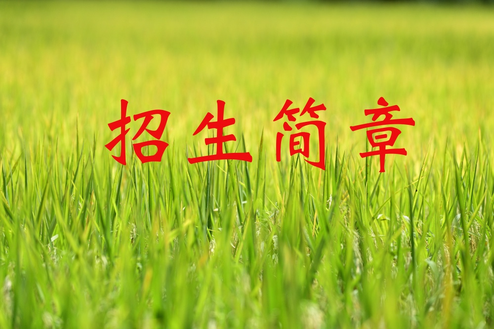 一年制摄影基础班招生