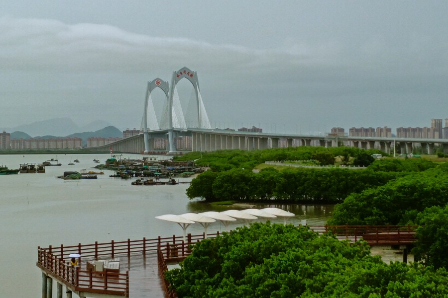 “南海岛旅拍榜”全国手机第一轮投票结果图片