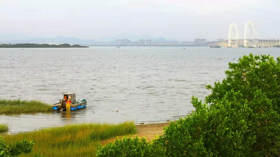 “南海岛旅拍榜”第二轮投票结果