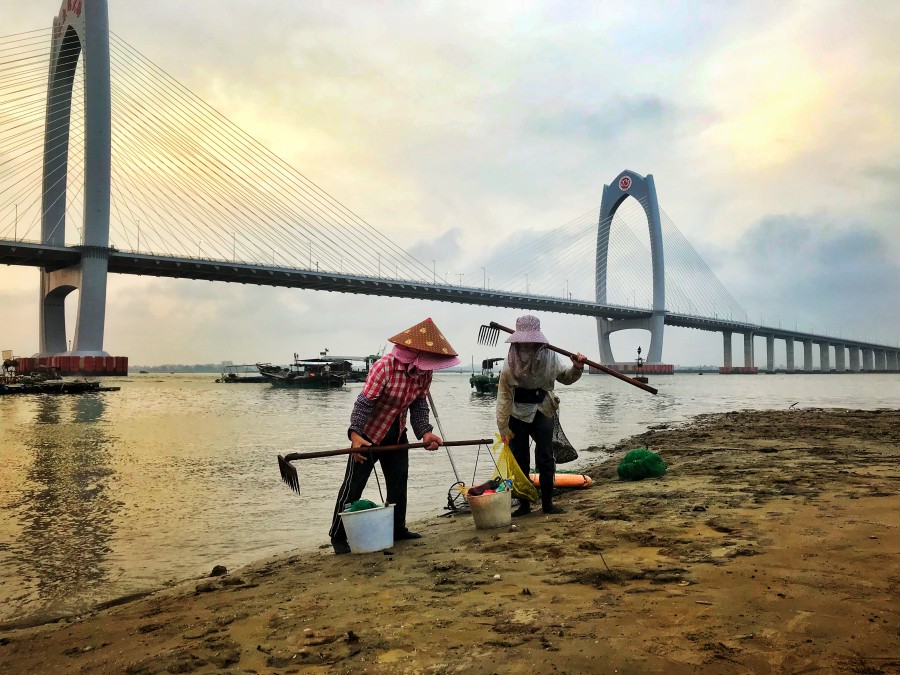 “南海岛旅拍榜”第二轮投票结果