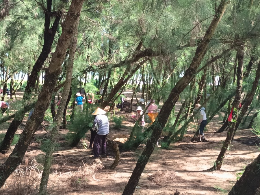 “南海岛旅拍榜”第二轮投票结果