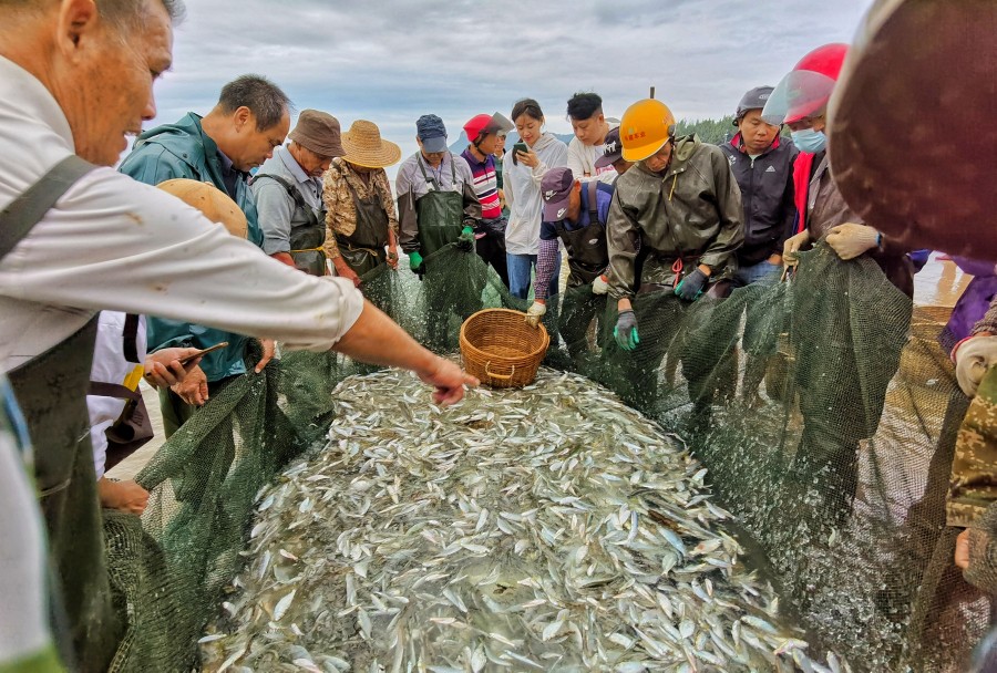 “南海岛旅拍榜”全国手机摄影第四轮投票结果