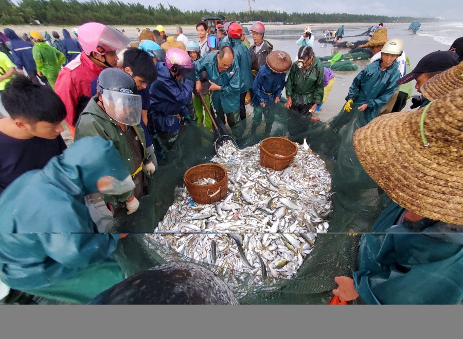 “南海岛旅拍榜”全国手机摄影第四轮投票结果